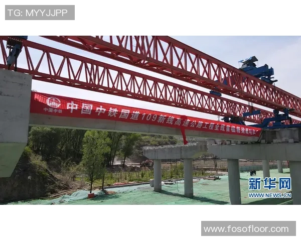 揭秘张芳成功之道探寻英雄联盟背后的秘密与策略