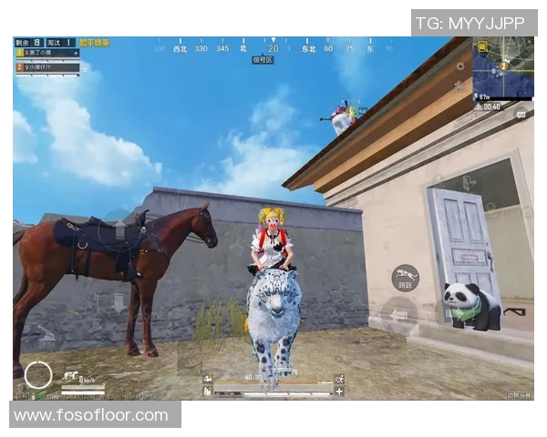 和平精英热议WE耐力争议背后的竞技精神与公平性探讨